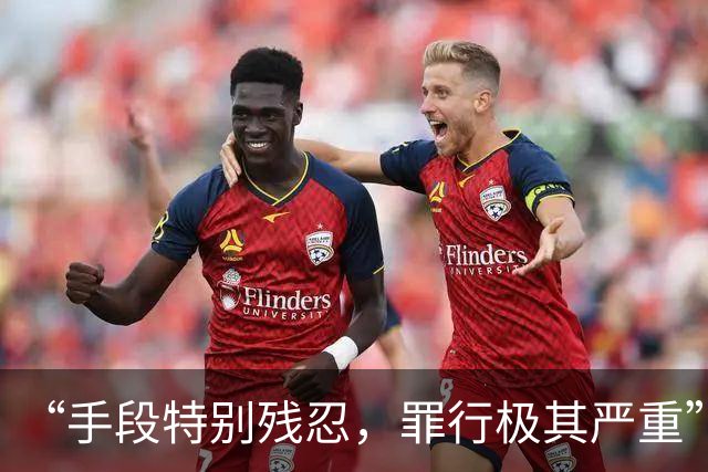 “手段特别残忍，罪行极其严重”，对刘某某限制减刑