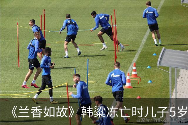 《兰香如故》韩粱冻亡时儿子5岁，林锦岐病亡时儿子13岁，袁绍辉至死无子。后代都没成长起来，但三家都没有没落，林家反倒更上一层楼