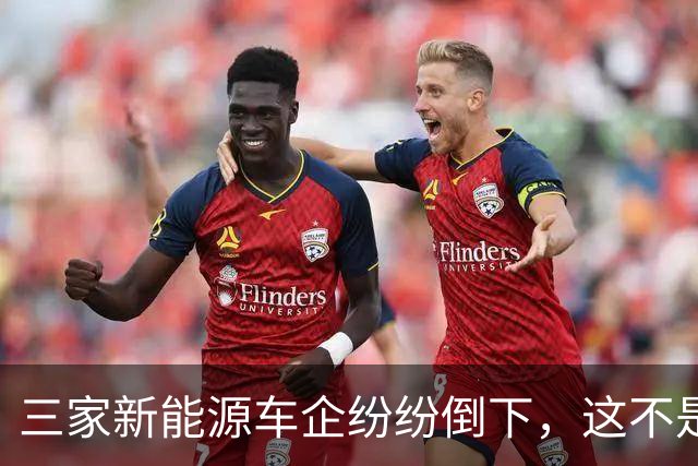 三家新能源车企纷纷倒下，这不是价格战，是蓄谋已久的资本大逃杀