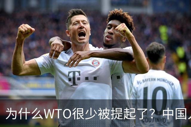为什么WTO很少被提起了？中国入世谈判花了15年，如今几乎被架空