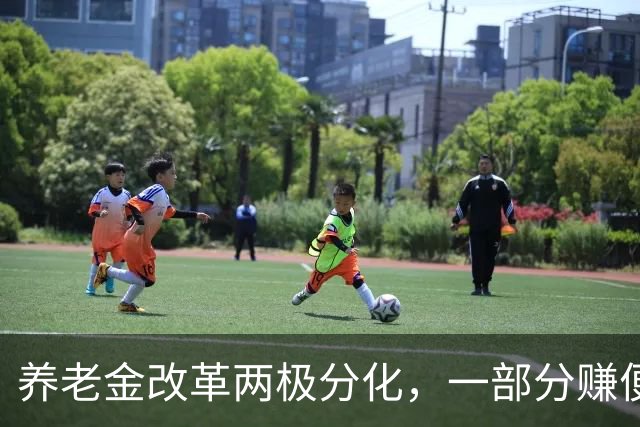 养老金改革两极分化，一部分赚便宜，一部分吃亏，公平该如何平衡