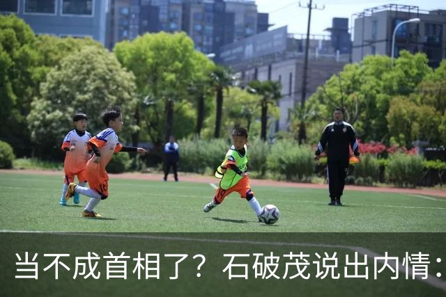 当不成首相了？石破茂说出内情：这个女人除了坏以外，还很蠢
