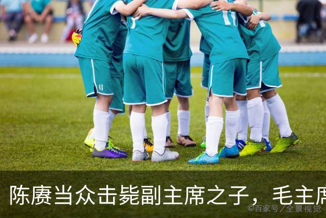 陈赓当众击毙副主席之子，毛主席一言不发，就送了一箱东西